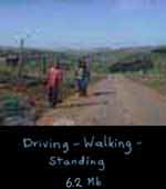 Driving-Walking-Standing